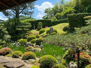 旧和中散本舗　春の特別公開