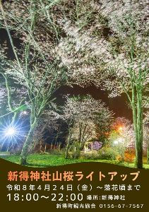 新得神社山ライトアップ
