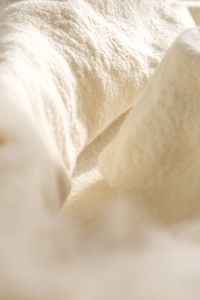 ふなだかよ 個展「HOME」
