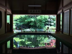 寿福寺「逆さ新緑」