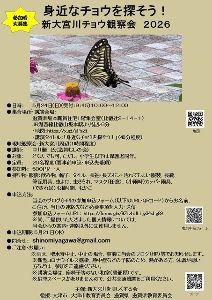 身近なチョウを探そう！ 〜新大宮川チョウ観察会2026〜