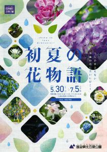 初夏の花物語