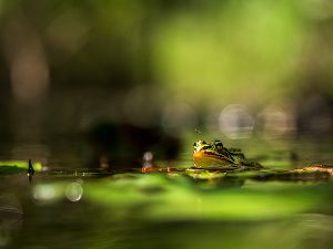 夏樹螢石 写真展「四季彩ノ国」