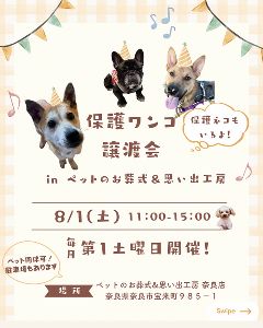 保護ワンコ譲渡会inペットのお葬式＆思い出工房