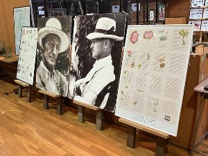 ヘルマン・ヘッセ昆虫展