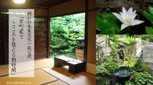 重要文化財 杉本家住宅一般公開「京町家でこころを整える朝時間」