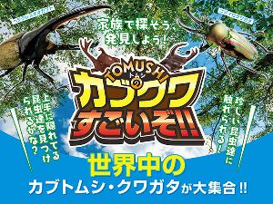 TOMUSHIのカブクワすごいぞ!! inふかや花園アウトレット