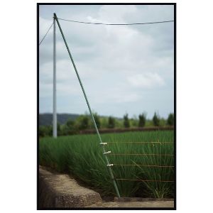 日下部一司展「風景を愛でる」