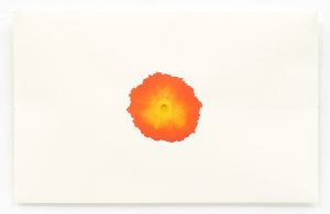 今道由教 個展