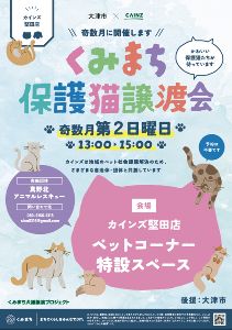 くみまち保護猫譲渡会