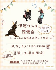 保護ワンコ譲渡会inペットのお葬式＆思い出工房