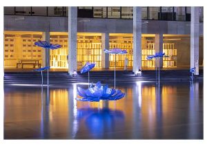 MonETの水辺夜市