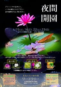 夜間開園