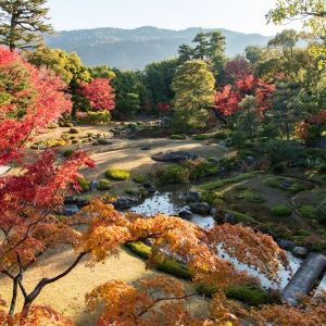紅葉の京都　名勝庭園を二階から望むプライベート貸切カフェ