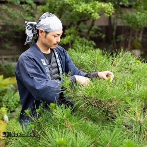 職人目線で日本庭園スタディー　秋冬