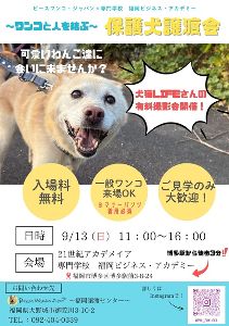 保護犬譲渡会