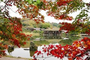 【紅葉・見ごろ】玄宮楽々園（玄宮園）