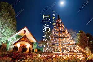 星あかり