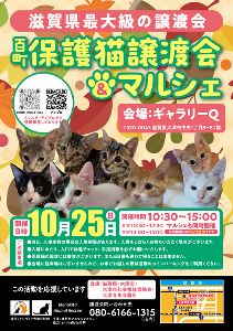 百町保護猫譲渡会＆マルシェ