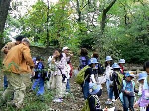 えぼしがた公園自然観察会「どんぐりまつり」