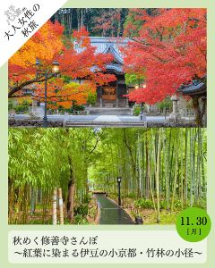大人女性の秋旅 秋めく修善寺さんぽ 紅葉に染まる伊豆の小京都・竹林の小径