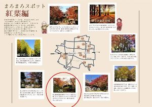 【紅葉・見ごろ】三光院