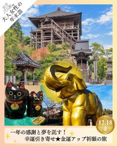 大人女性の年末詣 一年の感謝と夢を託す 幸運引き寄せ 金運アップ祈願の旅